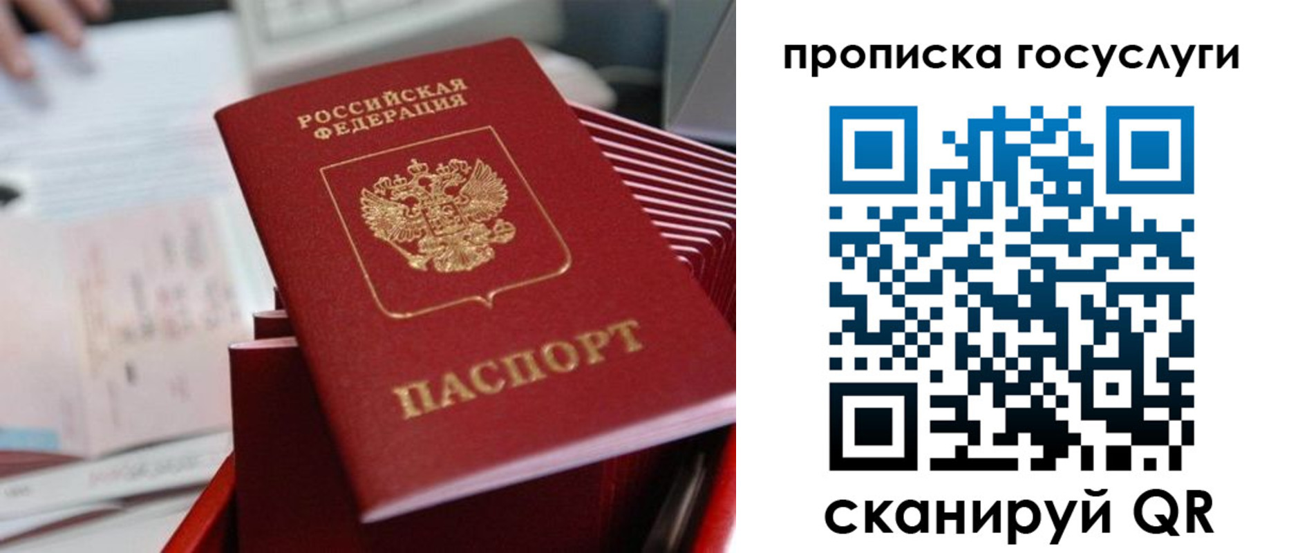 прописка законно в Цивильске
